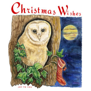 Christmas Wishes - Owl - Water Bottle Stainless Steel 500ml Design